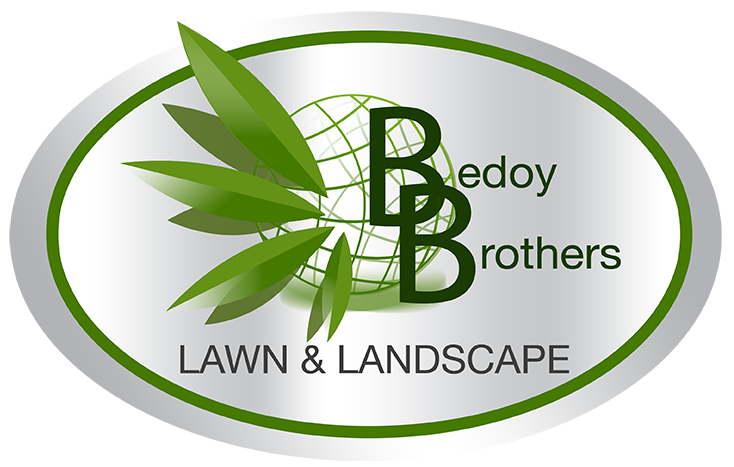 landscaping in Carson City, NV